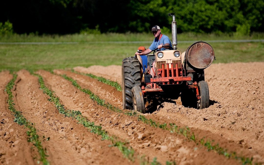 ¿Cuántos tipos de máquinas agrícolas existen?