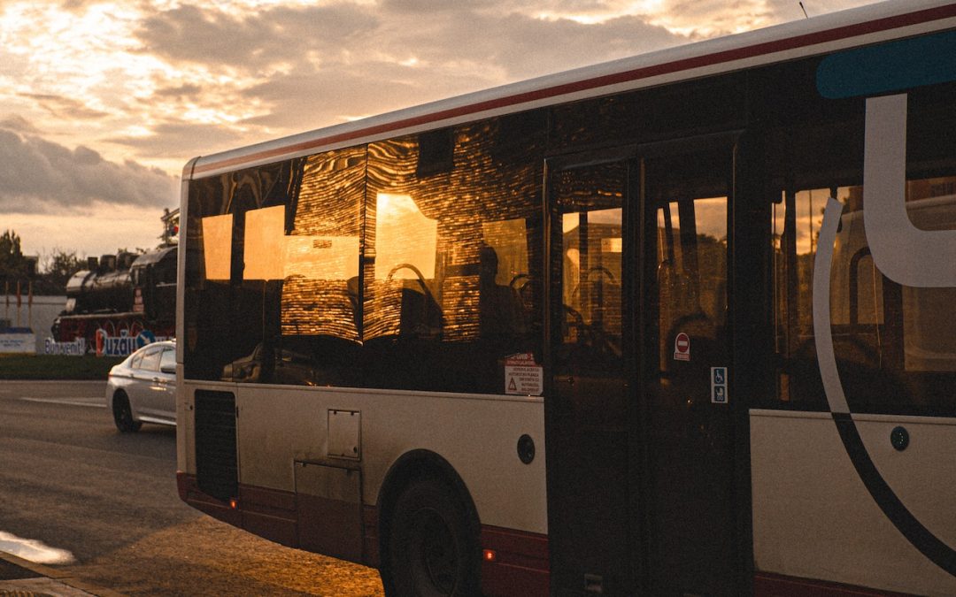 ¿Qué tipos de autobuses hay?